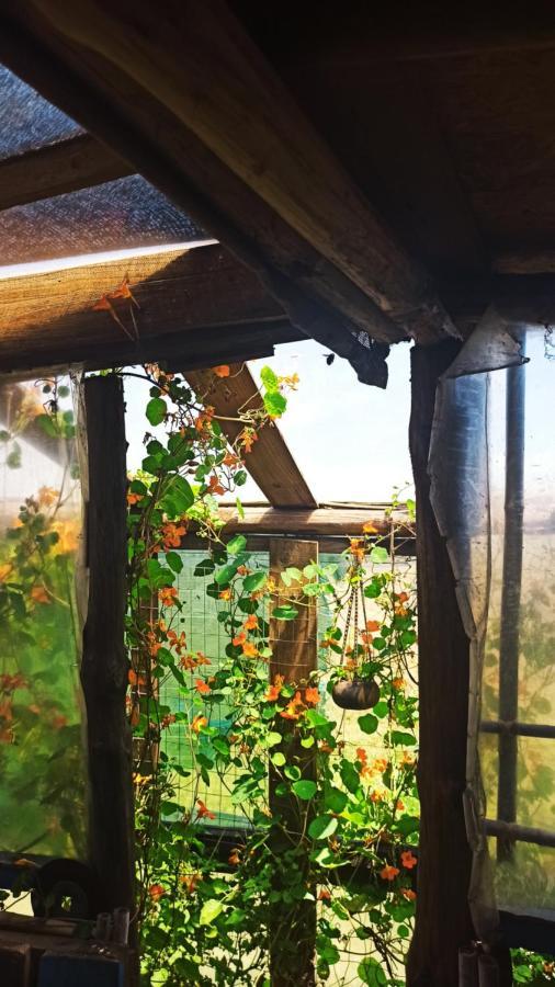Bunker Hostel カボ・ポロニオ エクステリア 写真