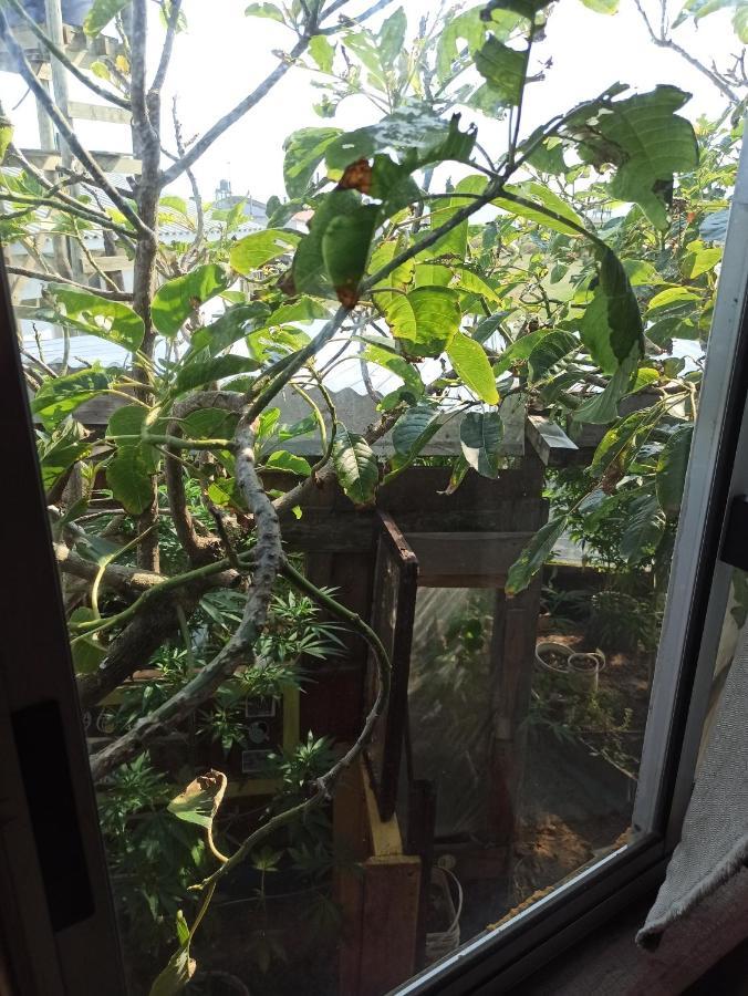 Bunker Hostel カボ・ポロニオ エクステリア 写真