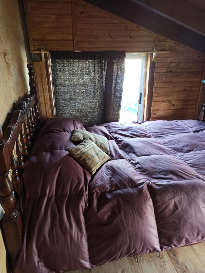 Bunker Hostel カボ・ポロニオ エクステリア 写真